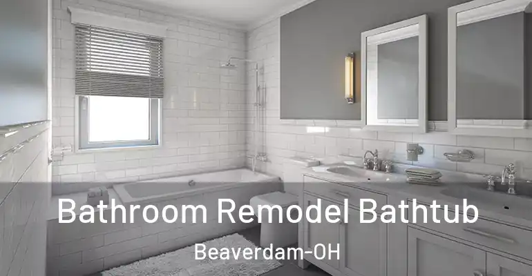 inner Bathroom imggen Bathroom Remodel Bathtub Beaverdam-OH