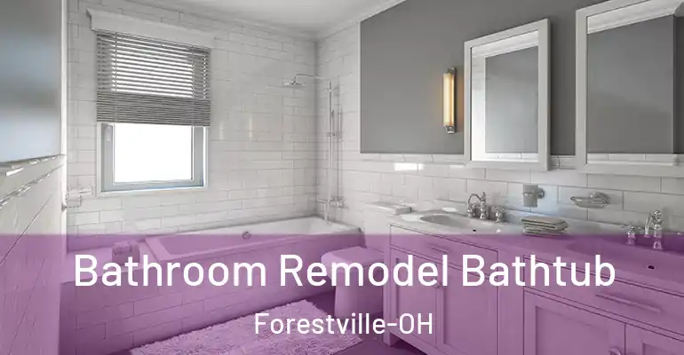 inner Bathroom imggen Bathroom Remodel Bathtub Forestville-OH