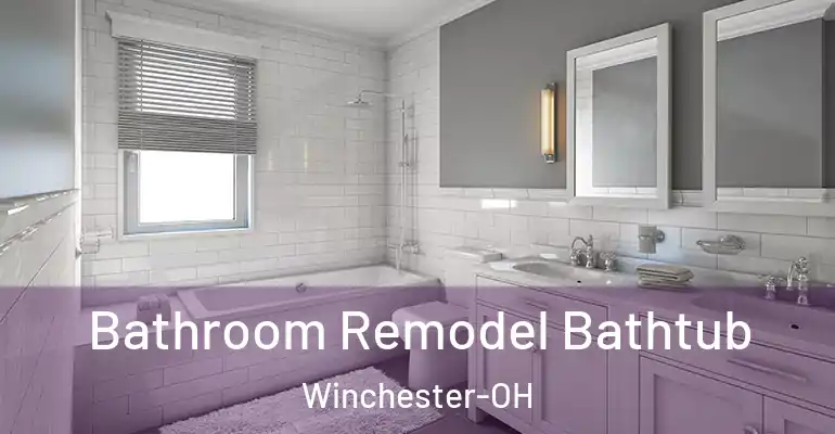 inner Bathroom imggen Bathroom Remodel Bathtub Winchester-OH