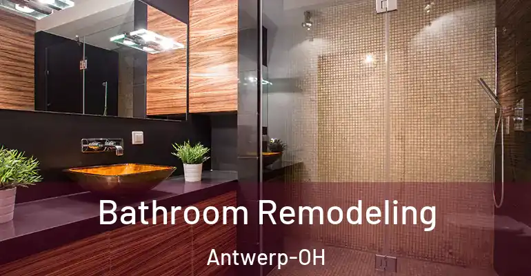 inner Bathroom imggen Bathroom Remodeling Antwerp-OH