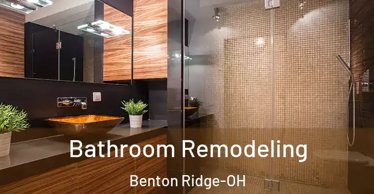 inner Bathroom imggen Bathroom Remodeling Benton Ridge-OH