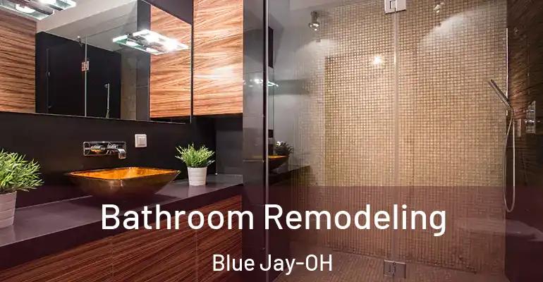inner Bathroom imggen Bathroom Remodeling Blue Jay-OH