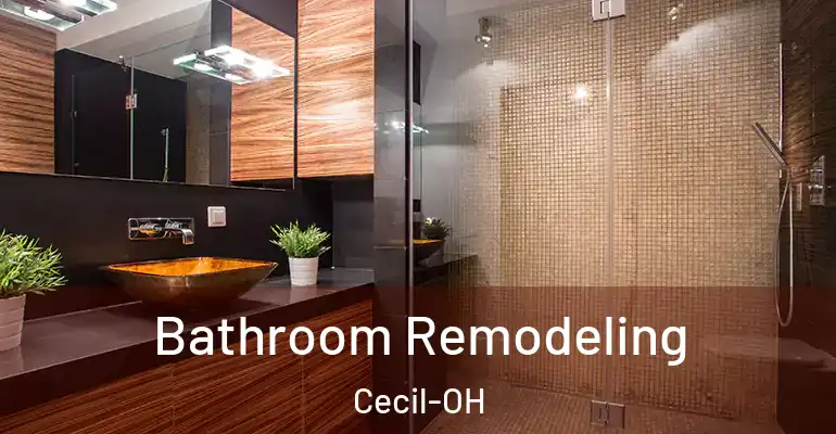 inner Bathroom imggen Bathroom Remodeling Cecil-OH