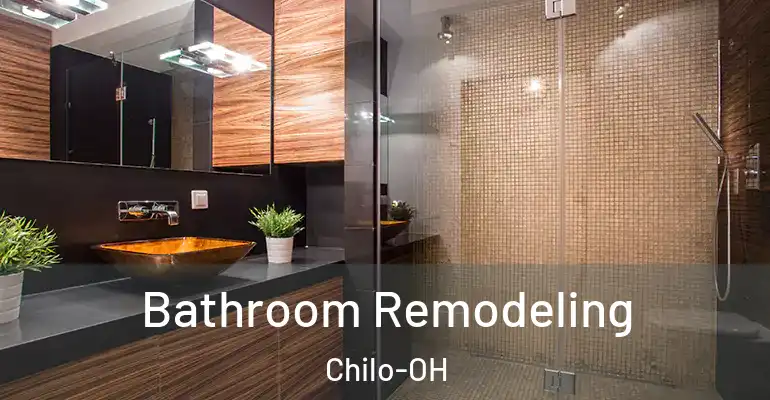 inner Bathroom imggen Bathroom Remodeling Chilo-OH
