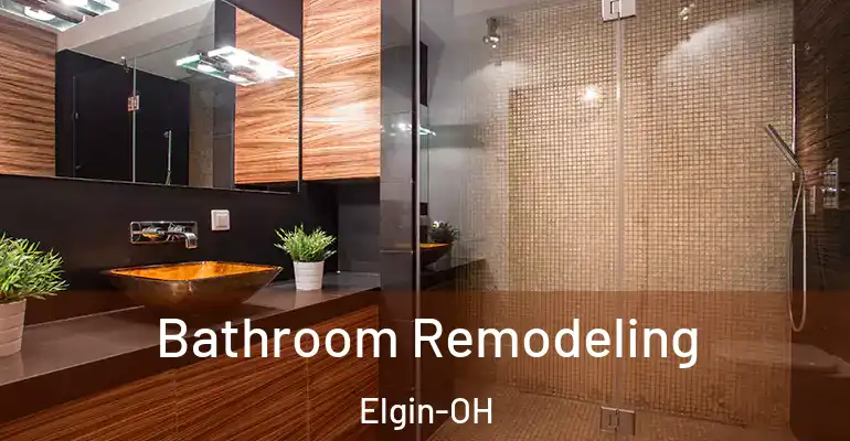 inner Bathroom imggen Bathroom Remodeling Elgin-OH