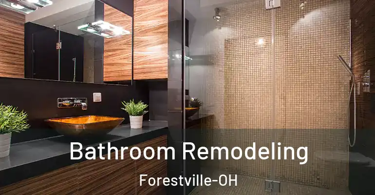 inner Bathroom imggen Bathroom Remodeling Forestville-OH