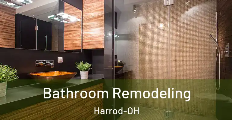 inner Bathroom imggen Bathroom Remodeling Harrod-OH