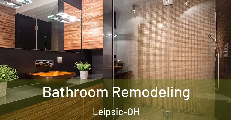 inner Bathroom imggen Bathroom Remodeling Leipsic-OH