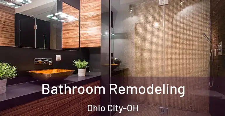 inner Bathroom imggen Bathroom Remodeling Ohio City-OH