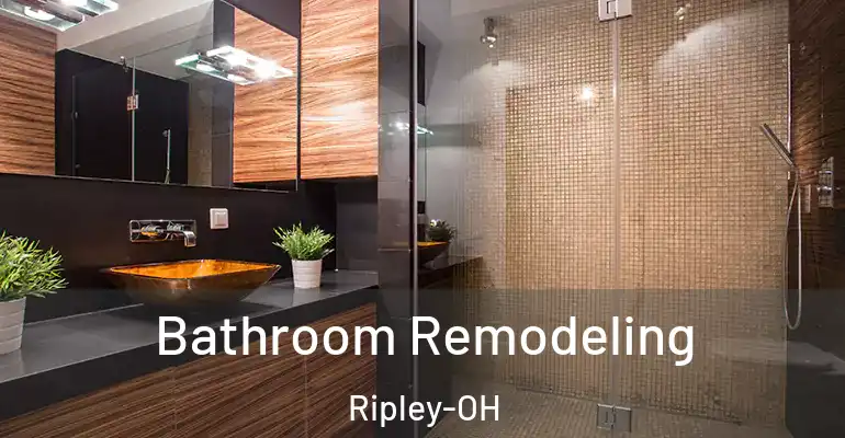 inner Bathroom imggen Bathroom Remodeling Ripley-OH