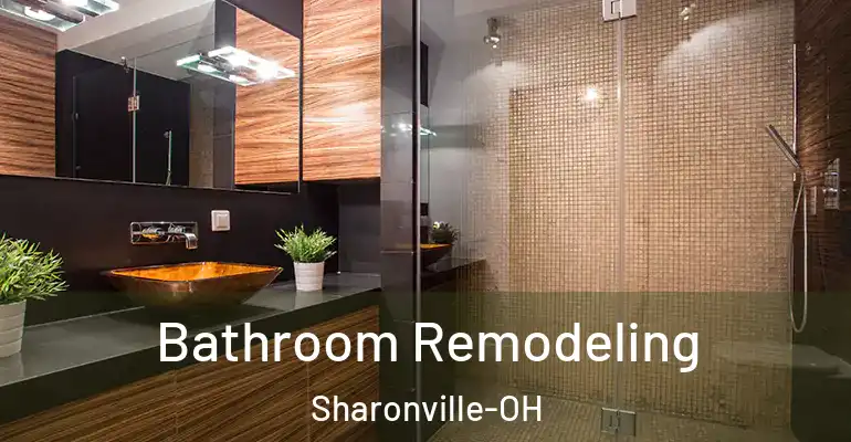 inner Bathroom imggen Bathroom Remodeling Sharonville-OH
