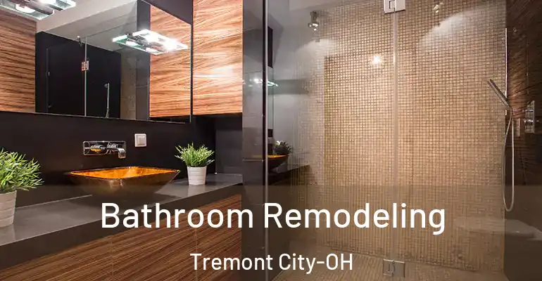 inner Bathroom imggen Bathroom Remodeling Tremont City-OH