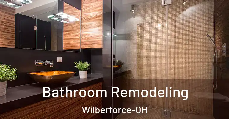 inner Bathroom imggen Bathroom Remodeling Wilberforce-OH