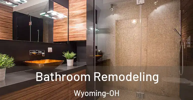 inner Bathroom imggen Bathroom Remodeling Wyoming-OH