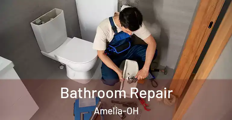 inner Bathroom imggen Bathroom Repair Amelia-OH