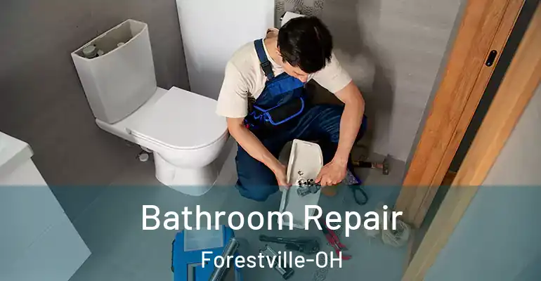 inner Bathroom imggen Bathroom Repair Forestville-OH