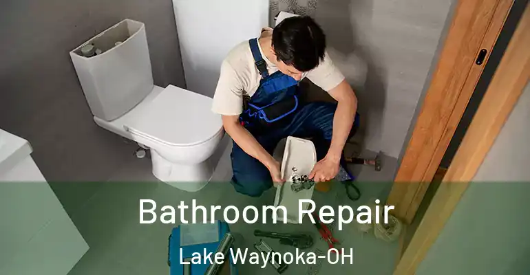 inner Bathroom imggen Bathroom Repair Lake Waynoka-OH