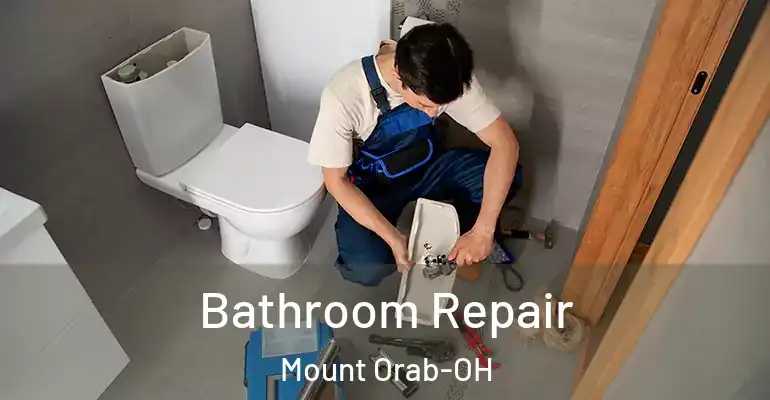 inner Bathroom imggen Bathroom Repair Mount Orab-OH