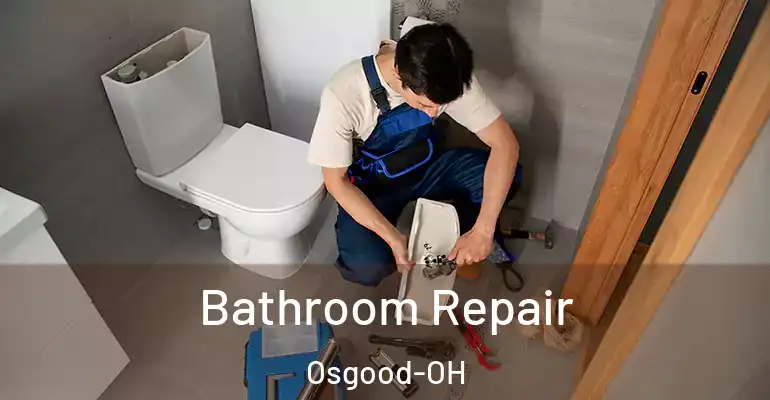 inner Bathroom imggen Bathroom Repair Osgood-OH