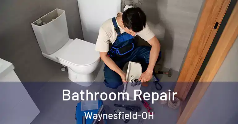inner Bathroom imggen Bathroom Repair Waynesfield-OH