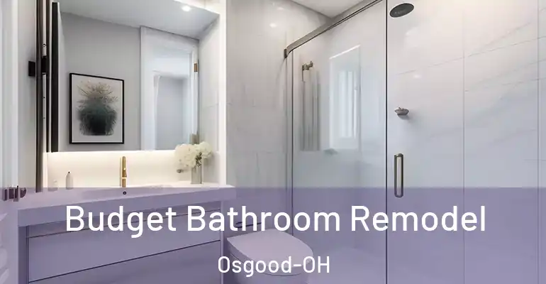 inner Bathroom imggen Budget Bathroom Remodel Osgood-OH