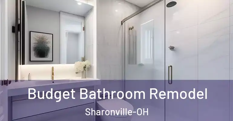 inner Bathroom imggen Budget Bathroom Remodel Sharonville-OH