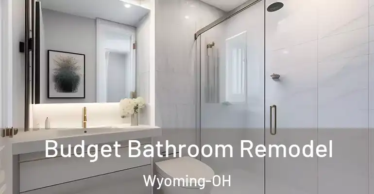 inner Bathroom imggen Budget Bathroom Remodel Wyoming-OH