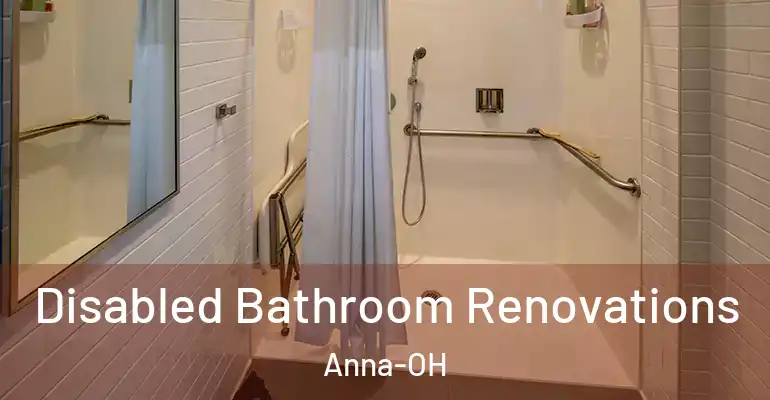 inner Bathroom imggen Disabled Bathroom Renovations Anna-OH