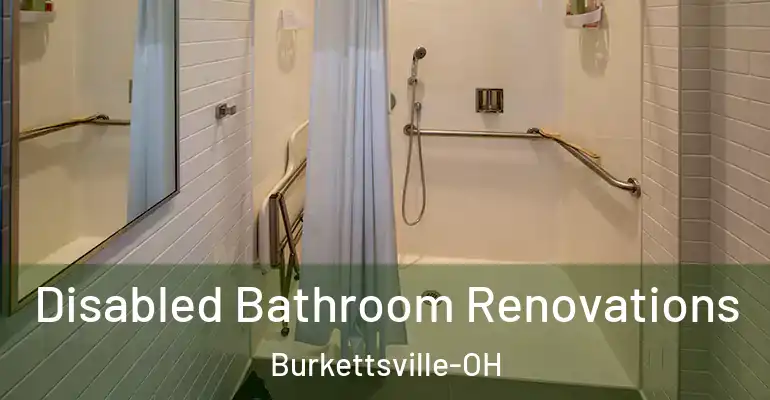 inner Bathroom imggen Disabled Bathroom Renovations Burkettsville-OH