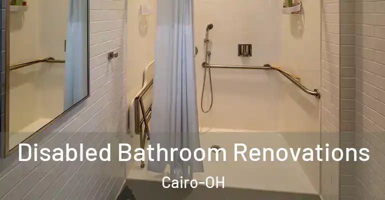 inner Bathroom imggen Disabled Bathroom Renovations Cairo-OH
