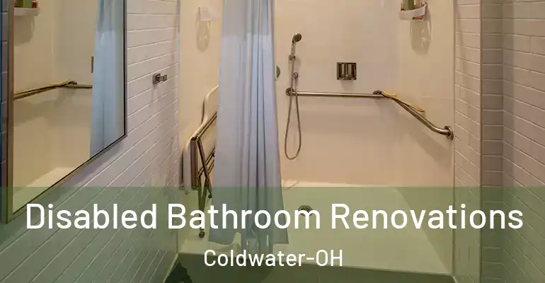 inner Bathroom imggen Disabled Bathroom Renovations Coldwater-OH