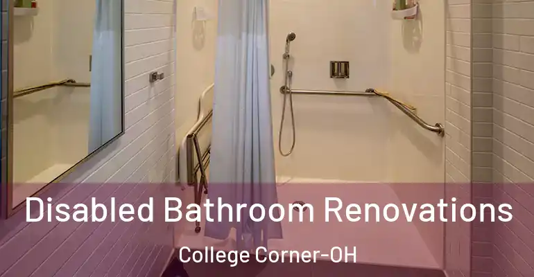 inner Bathroom imggen Disabled Bathroom Renovations College Corner-OH