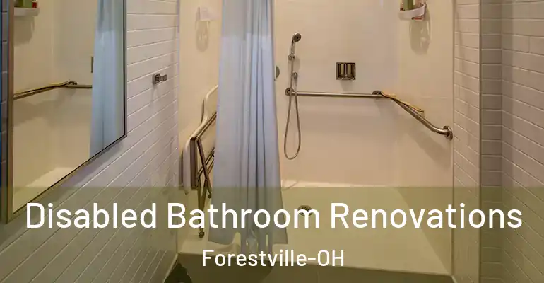 inner Bathroom imggen Disabled Bathroom Renovations Forestville-OH