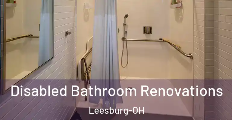 inner Bathroom imggen Disabled Bathroom Renovations Leesburg-OH