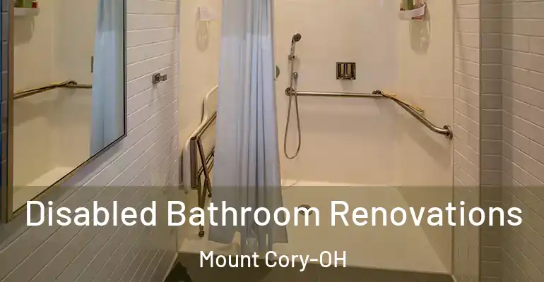 inner Bathroom imggen Disabled Bathroom Renovations Mount Cory-OH