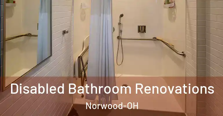 inner Bathroom imggen Disabled Bathroom Renovations Norwood-OH