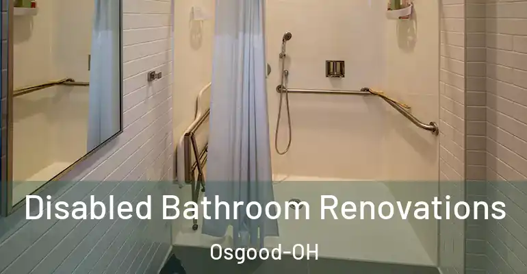 inner Bathroom imggen Disabled Bathroom Renovations Osgood-OH