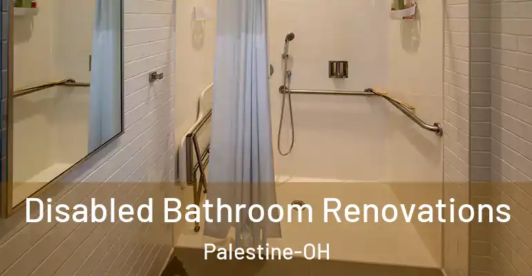 inner Bathroom imggen Disabled Bathroom Renovations Palestine-OH