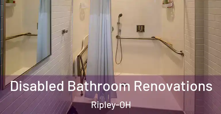 inner Bathroom imggen Disabled Bathroom Renovations Ripley-OH