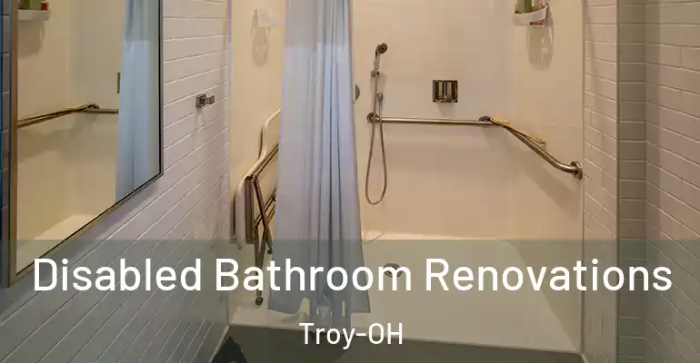 inner Bathroom imggen Disabled Bathroom Renovations Troy-OH