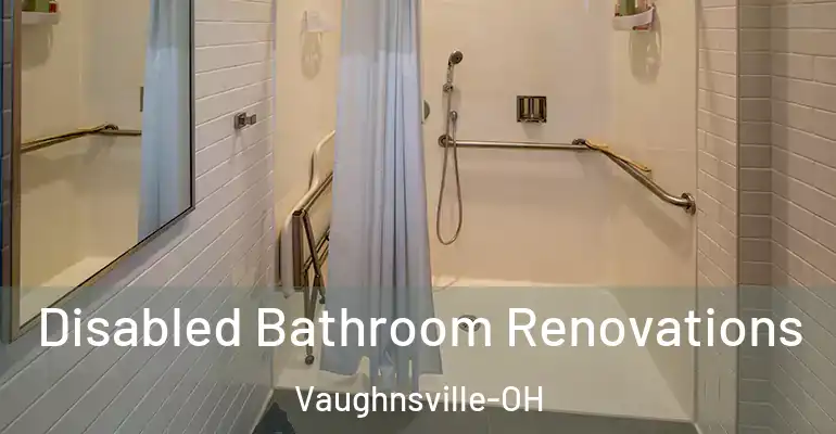 inner Bathroom imggen Disabled Bathroom Renovations Vaughnsville-OH