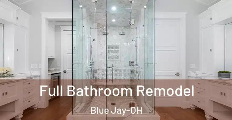 inner Bathroom imggen Full Bathroom Remodel Blue Jay-OH