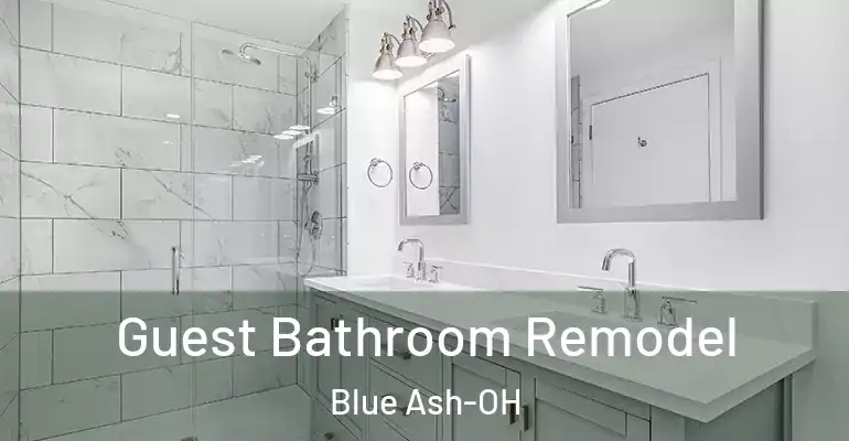 inner Bathroom imggen Guest Bathroom Remodel Blue Ash-OH