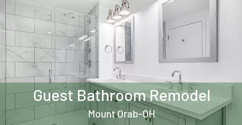 inner Bathroom imggen Guest Bathroom Remodel Mount Orab-OH