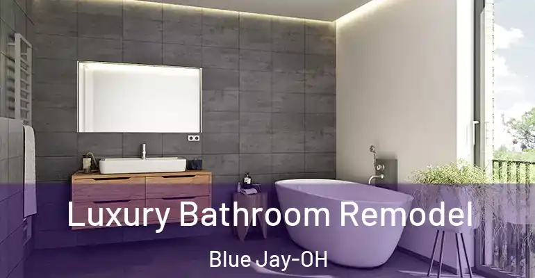 inner Bathroom imggen Luxury Bathroom Remodel Blue Jay-OH