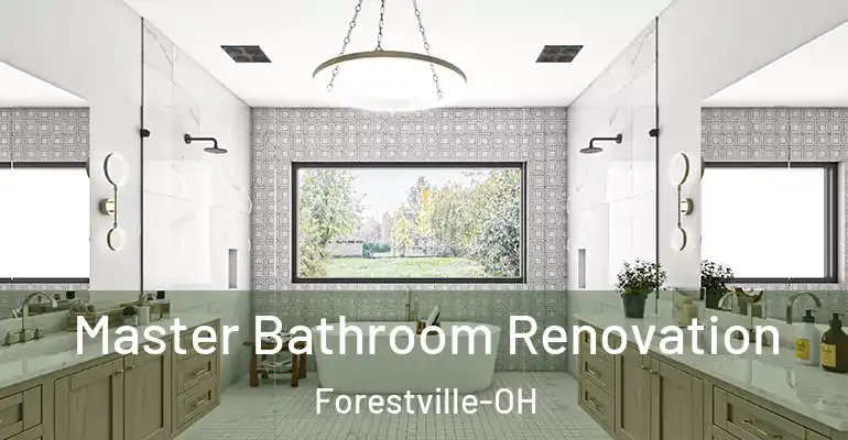 inner Bathroom imggen Master Bathroom Renovation Forestville-OH