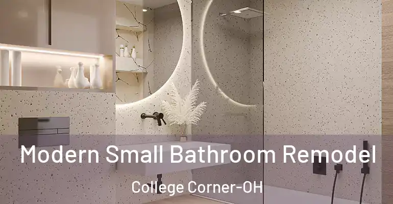 inner Bathroom imggen Modern Small Bathroom Remodel College Corner-OH