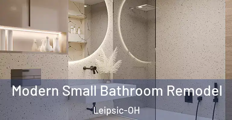 inner Bathroom imggen Modern Small Bathroom Remodel Leipsic-OH
