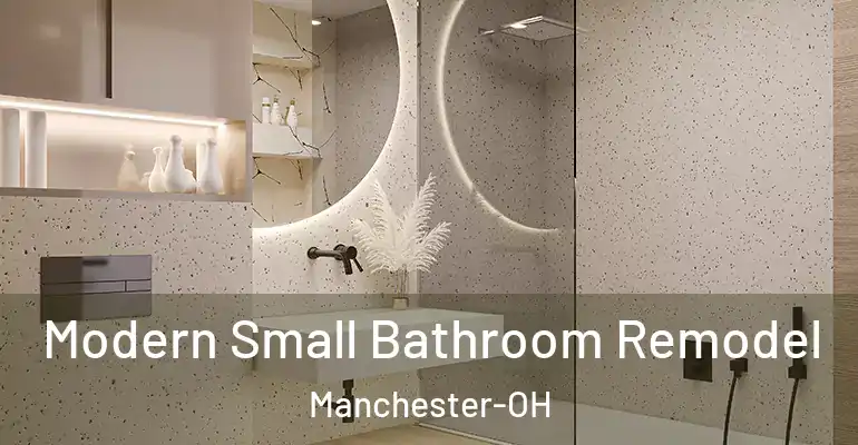 inner Bathroom imggen Modern Small Bathroom Remodel Manchester-OH