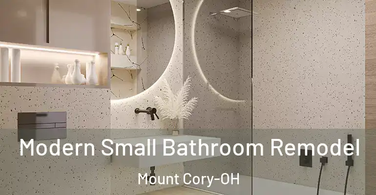inner Bathroom imggen Modern Small Bathroom Remodel Mount Cory-OH